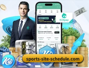 2026世界杯 APP 深度功能