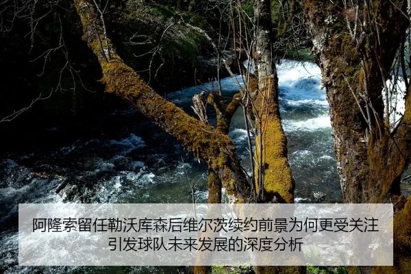 阿隆索留任勒沃库森后维尔茨续约前景为何更受关注引发球队未来发展的深度分析