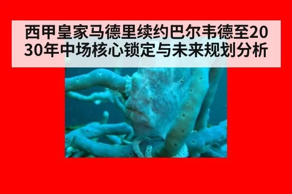 西甲皇家马德里续约巴尔韦德至2030年中场核心锁定与未来规划分析
