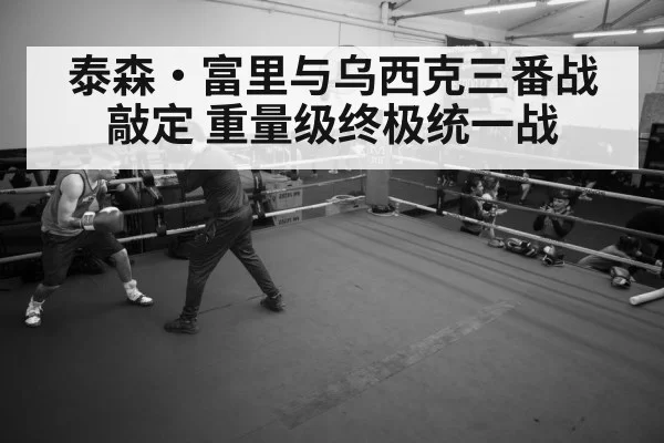 boxer training gym